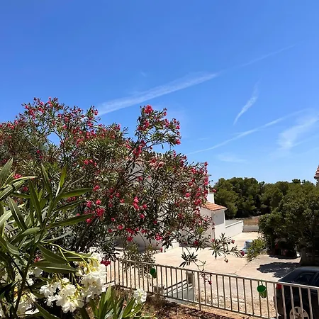 Vacation Palma * Rukavac (Vis)